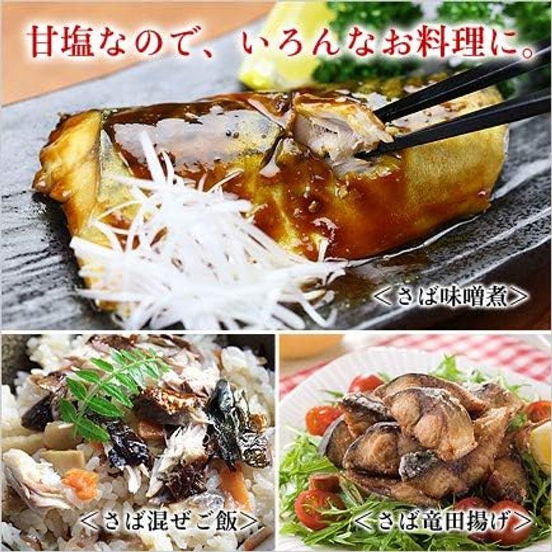 甲羅組 干物 肉厚 とろサバ 開き 特大サイズ 2枚入 鯖 さば サバ 一夜干し