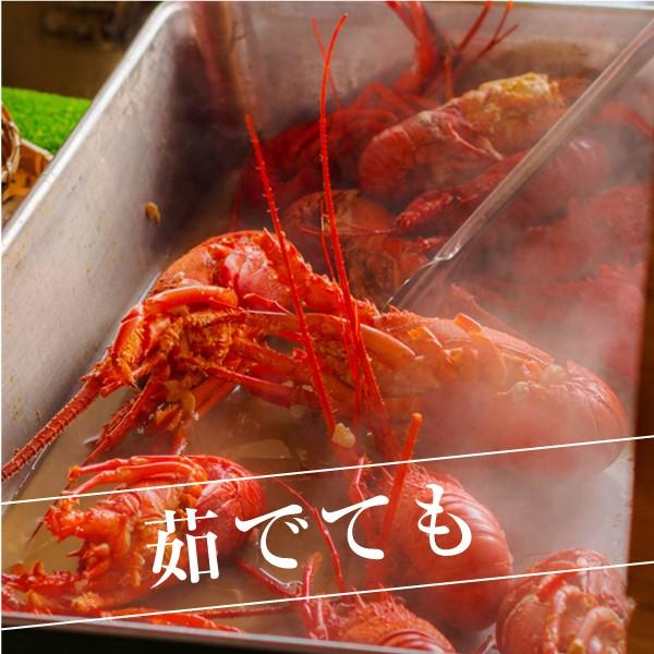 「活〆冷凍伊勢海老」”Mサイズ”　2ｋｇ　5尾入り　海老・伊勢海老・伊勢えび・伊勢エビ　冷凍　活〆