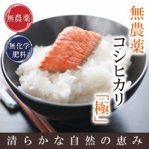 無農薬 玄米 米 3kg 無農薬コシヒカリ「極」 令和5年福井県産 新米入荷 限定米 送料無料 無農薬・無化学肥料栽培 米・食味鑑定士認定米