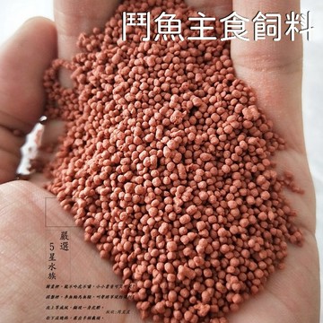 鬥魚飼料 鬥魚 飼料 小型魚飼料 增豔飼料 半浮沉飼料