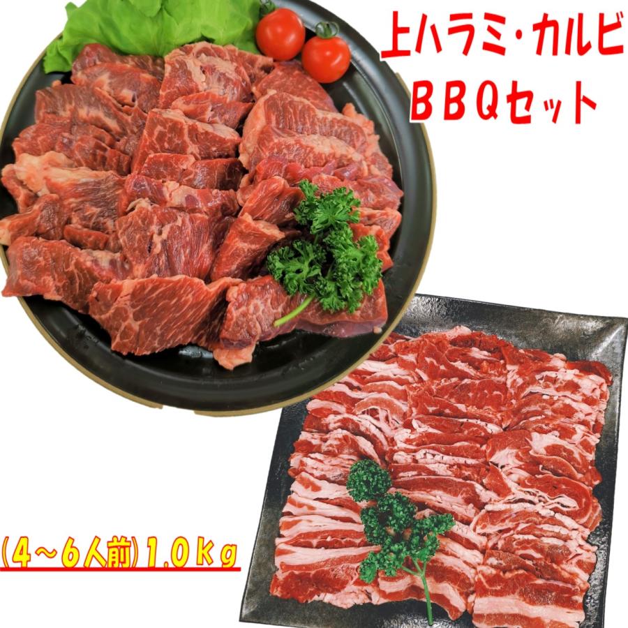 肉 バーベキュー 食材 牛肉 焼肉セット ハラミ BBQ 肉 バラ カルビ BBQ食材セット 焼肉 1kg 4〜6人前