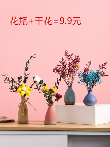 莫蘭迪迷你小花瓶ins風茶幾桌面客廳插花裝飾品干花擺件家居擺設