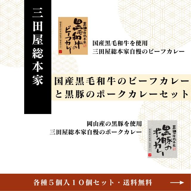 送料無料！三田屋総本家黒毛和牛のビーフカレー＆黒豚のポークカレー各５個１０個入セット