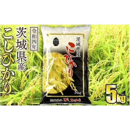 ふるさと納税 令和5年産茨城コシヒカリ　5kg 茨城県守谷市