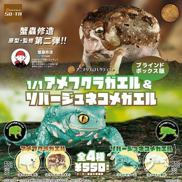 E哥❤SO-TA日本正版散貨 仿真爬行動物模型 1:1短頭蛙 美洲夜光饅頭蛙