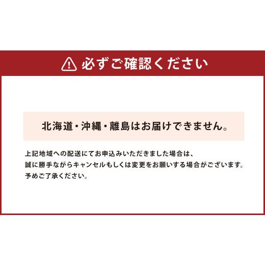 ふるさと納税 熊本県 上天草市 天草産 活車海老 500g