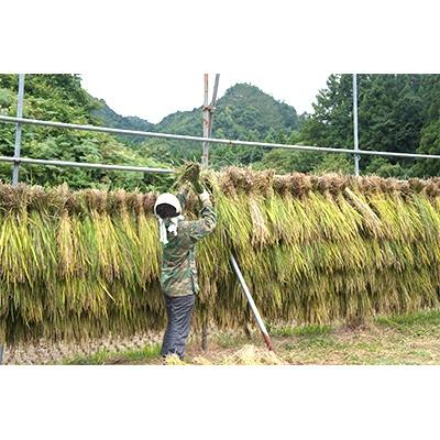 ふるさと納税 阿賀町 黒米のセット(200g×5袋)