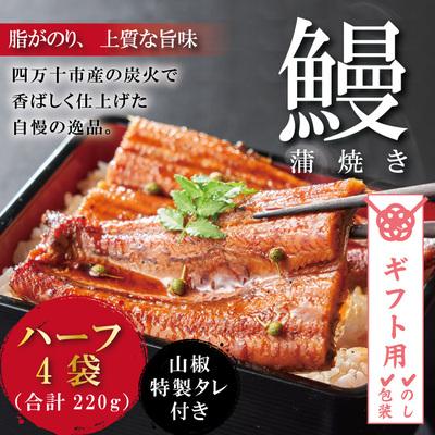 ふるさと納税 四万十市 うなぎ蒲焼　ハーフ4袋 BC