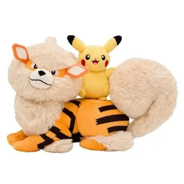 Pokemon 沖繩限定 風速狗與皮卡丘 Okinawa-arpika
