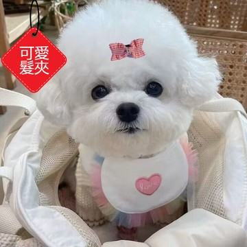 台灣現貨 寵物蝴蝶結髮夾 髮夾套裝 狗狗頭飾 貓咪髮卡 小狗夾子 約克夏髮夾 迷你髮夾 狗狗髮夾 可愛頭飾