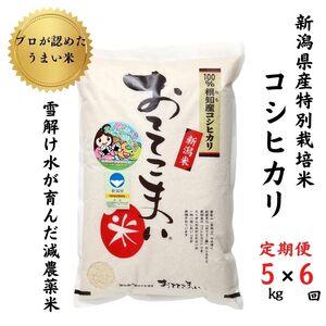 ふるさと納税 新潟県産 特別栽培米コシヒカリ5kg×6回「おててこまい」100%根知産 減農薬 令和5年産 専門家お墨付き 産地.. 新潟県糸魚川市