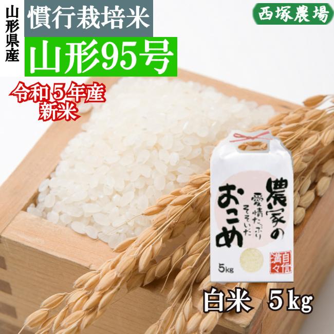 慣行栽培米 山形95号　岩魚米 （令和5年産）白米 5kg