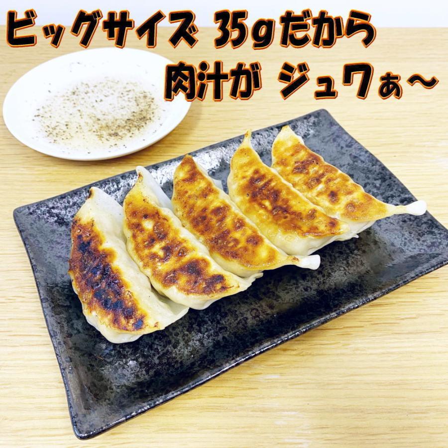 送料無料 冷凍餃子 宇都宮AQ餃子肉焼売セット  宇都宮 餃子 ぎょうざ ギョーザgyouza 餃子焼売セット シュウマイ シューマイ