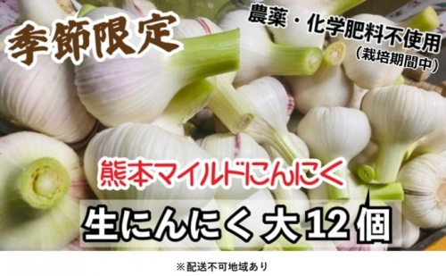 にんにく 2024年 発送 大玉 12個 錦町産 農薬・化学肥料 栽培期間中不