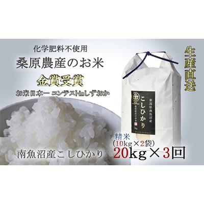 ふるさと納税 南魚沼市 桑原農産のお米　コシヒカリ10kg袋×2 全3回