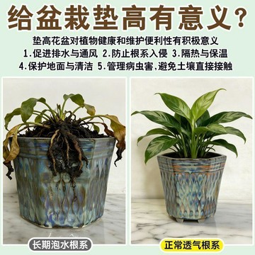 掃貨趁現在 嚴選好物 實用園藝工具 花盆防滑墊 多肉/綠蘿/發財樹適用防積水爛根通風透氣架 透明止滑墊片 養花盆底透明防