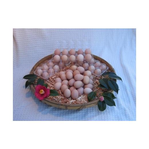 ふるさと納税 高知県 香美市 土佐ジローの卵　20個