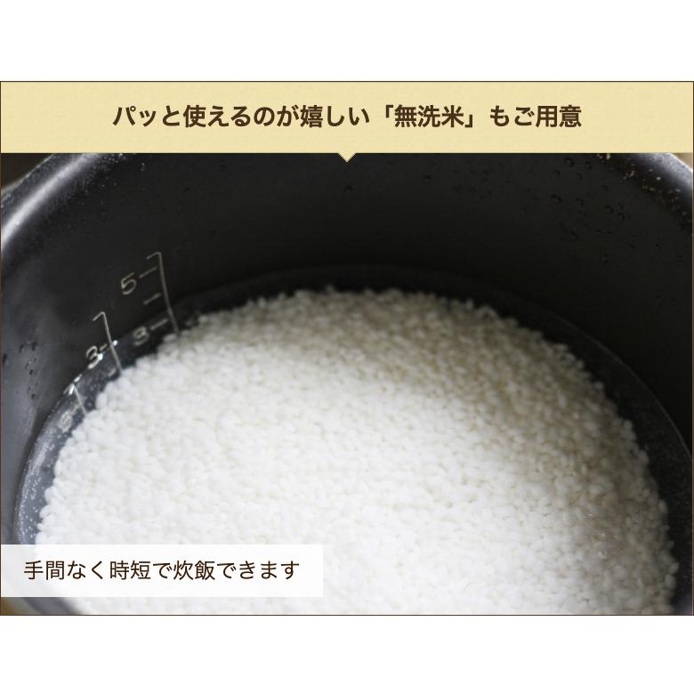 新潟産 新之助 無洗米20kg（10kg×2袋） アグリ幸望みらい 送料無料