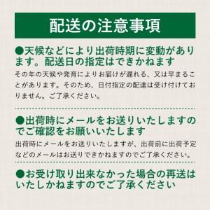 ふるさと納税  産地直送 朝採れ！ 山梨県産 シャインマスカット ２房 (1.2kg以上！)  山梨 ぶどう ブドウ 葡萄 シャイン .. 山梨県都留市