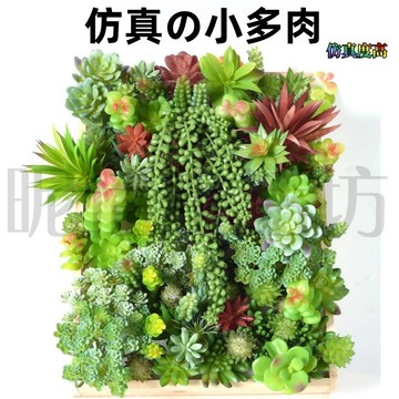 【現貨】創意仿真多肉/仿真小多肉/DIY多肉造景/創意多肉擺件/假花/仿真花/綠植微景觀擺件/仿真仙人掌/