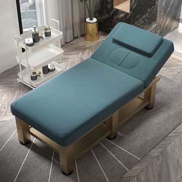 ??快速出貨?? 公司貨 高檔美睫紋繡床美容院專用艾灸頭療推拿床按摩床理療床輕奢美容床