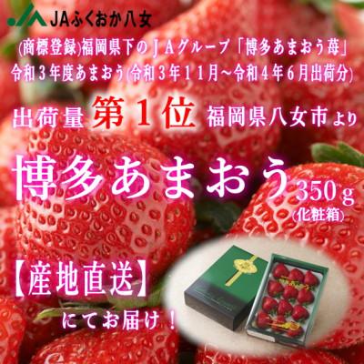 ふるさと納税 八女市 『先行受付』JAふくおか八女より産地直送※12月上旬より順次発送