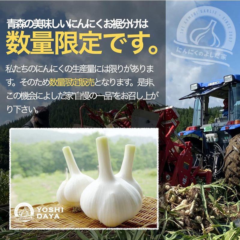 青森県産 特大 LL にんにく贈答用 特大 青森県産福地ホワイト六片 にんにくのよしだ家スペシャル (500G)