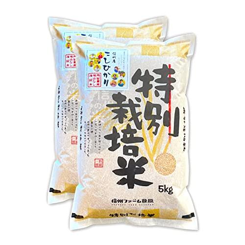 新米残留農薬不検出 信州産 こしひかり 10kg（5kg×2） 令和5年産 米 お米 コメ 長野県 信州ファーム荻原