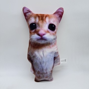 臺灣出貨💥網絡迷因表情包貓貓el gato CAT plush 可愛仿真貓咪毛絨玩偶公仔