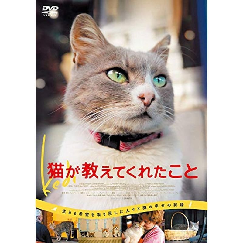 猫が教えてくれたこと DVD