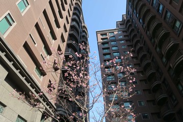 文中路上便宜景觀雙車輕豪宅｜桃園市桃園區文中路