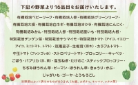 季節の野菜 16品目 セット 野菜 詰め合わせ おまかせ