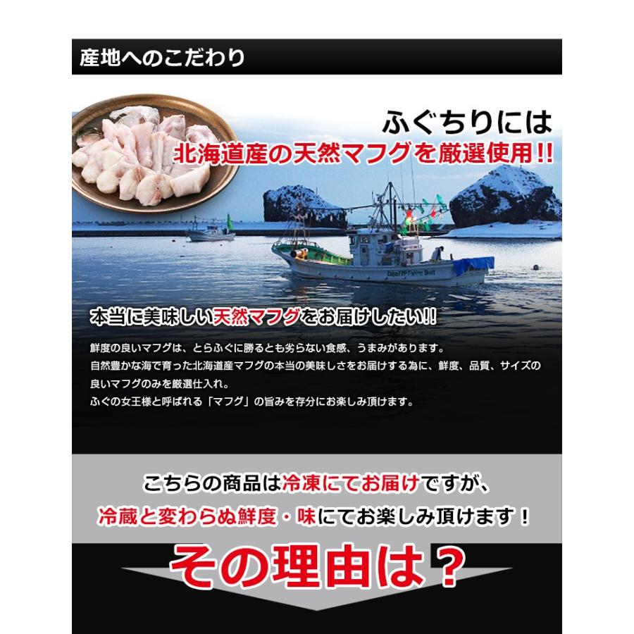 天然ふぐ鍋 化粧箱入 2-3人前 送料無料 ギフト 海鮮 河豚 福岡 博多 プレゼント 贈り物 グルメ 出産祝い お見舞い・快気祝い [フグ]