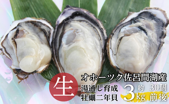 湯通し育成カキ（二年貝）約3kg（30個前後） 佐呂間産  サロマ湖 北海道 オホーツク 佐呂間町 カキ 牡蠣 殻付き 海鮮 魚介