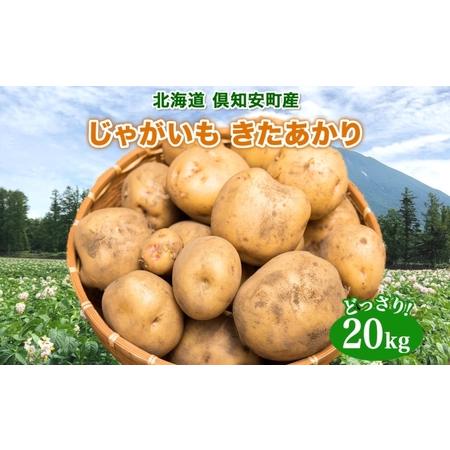 ふるさと納税 北海道産 じゃがいも きたあかり 約20kg 芋 ジャガイモ いも 自然 旬 新鮮 野菜 直送 常温 農作物 お取り寄せ 野菜 ポテト 農作.. 北海道倶知安町