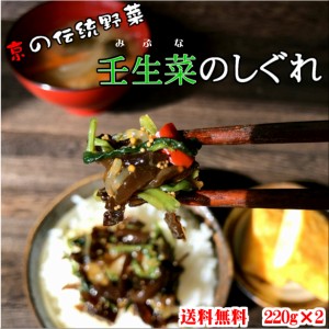 壬生菜のしぐれ220g×2パック お試し  ポスト投函 送料無料  ご飯のお供 みぶな みぶ菜のしぐれ 壬生菜 佃煮 京野菜 京都 手土産 おみや