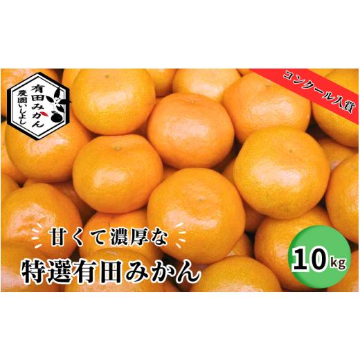 ふるさと納税 和歌山県 広川町 特選有田みかん 10kg サイズ混合 ※11月より順次発送予定 ※着日指定不可