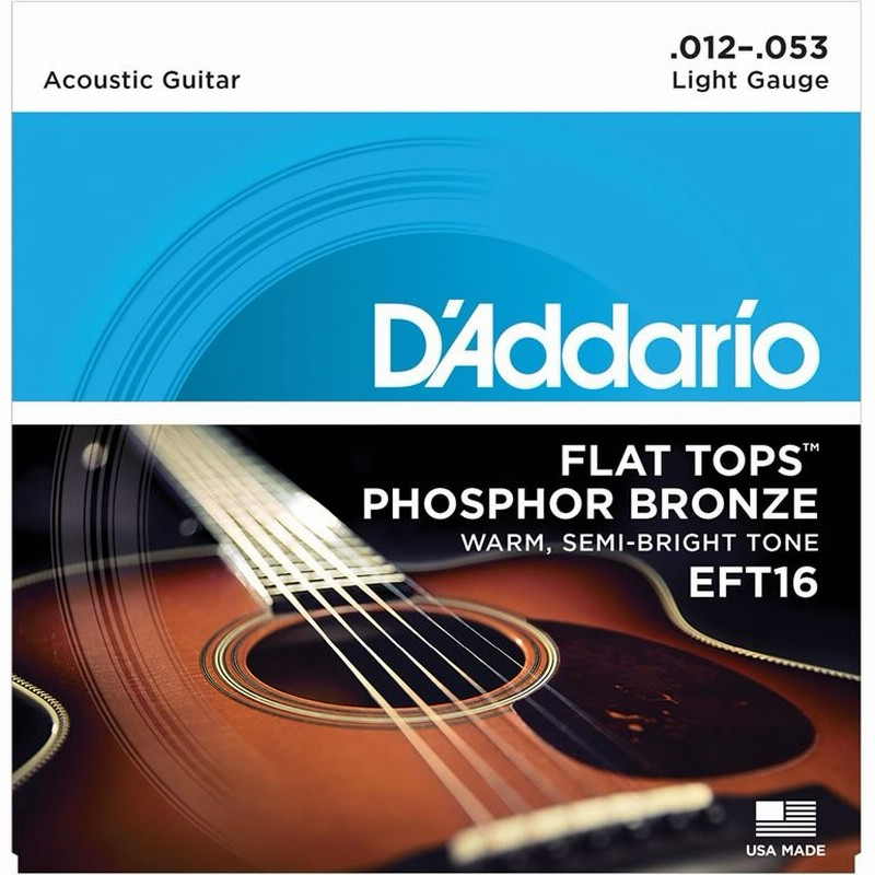 D'Addario ダダリオ アコースティックギター弦 EFT16 