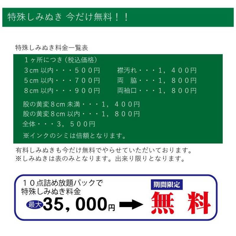 クリーニング 宅配 詰め放題 10点袋大（ブロガーさん推薦）衣替え 今