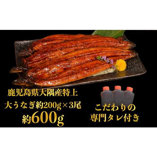 ふるさと納税 熊本県 水上村 特上うなぎ 約600g (約200g×3尾) タレ付き うなぎ 蒲焼 熊本県 水上村