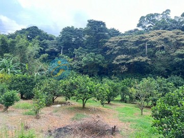 107龜山保護區農地｜桃園市龜山區楓義段