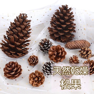 ⭐台灣現貨⭐乾燥松果 天然乾燥果實 松果支 松果 乾燥花 特大松果 天然素材 裝飾品 聖誕節 擺飾 鄉村風 毬果 大中小
