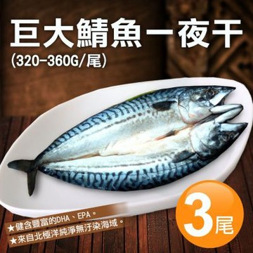 築地一番鮮-北極洋｜特大｜鯖魚一夜干320-360g｜3尾