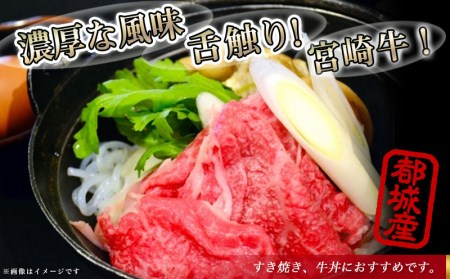 宮崎牛バラ切り落とし500g_AA-2501_(都城市) 国産牛肉 ブランド牛 切落とし バラ肉 すき焼き 牛丼 肉じゃが A4ランク A4等級以上 牛ばら