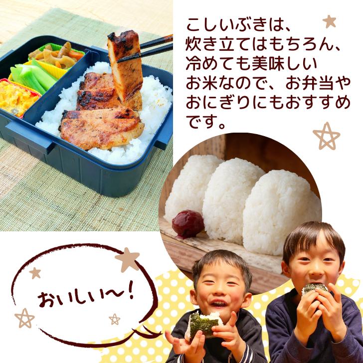 新米 5年産 新潟産 こしいぶき 10kg 5kg×2袋 受注精米 お歳暮 冷めてもおいしい 新潟県産 米 白米 精米 減農薬 農家 直送 生産者 備蓄 ギフト 内祝