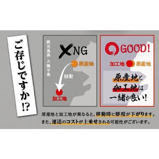 ふるさと納税 鹿児島県 大崎町 鹿児島県産うなぎ長蒲焼5尾　合計800g