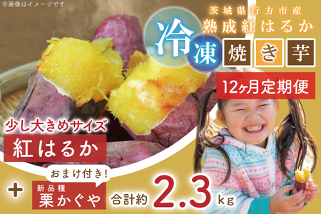 EY-23　茨城県行方市産熟成紅はるか少し大きめサイズ冷凍焼き芋2キロ！おまけ付‼合計約2.3キロ!!!