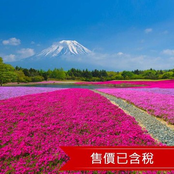 春遊關東｜花之盛宴~常陸海濱最美藍色粉蝶花海.足利花卉夢幻紫藤絕景.富士芝櫻祭.新宿購物趣.美食雙溫泉五日_26JT400TR