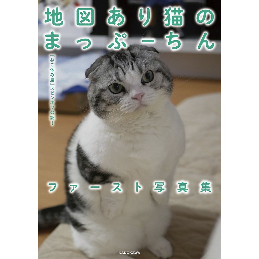 地図あり猫のまっぷーちんファースト写真集 ねこ休み展 スピンオフ公認 まぷこ まぷお BACON