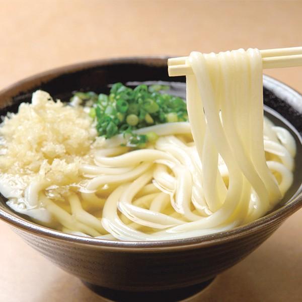 讃岐うどん 半生 4人前 かけうどん ぶっかけうどん ざるうどん つゆ付 ご自宅 在宅